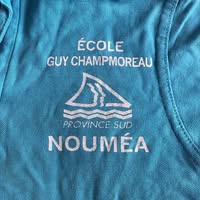 APE Ecole Guy Champmoreau