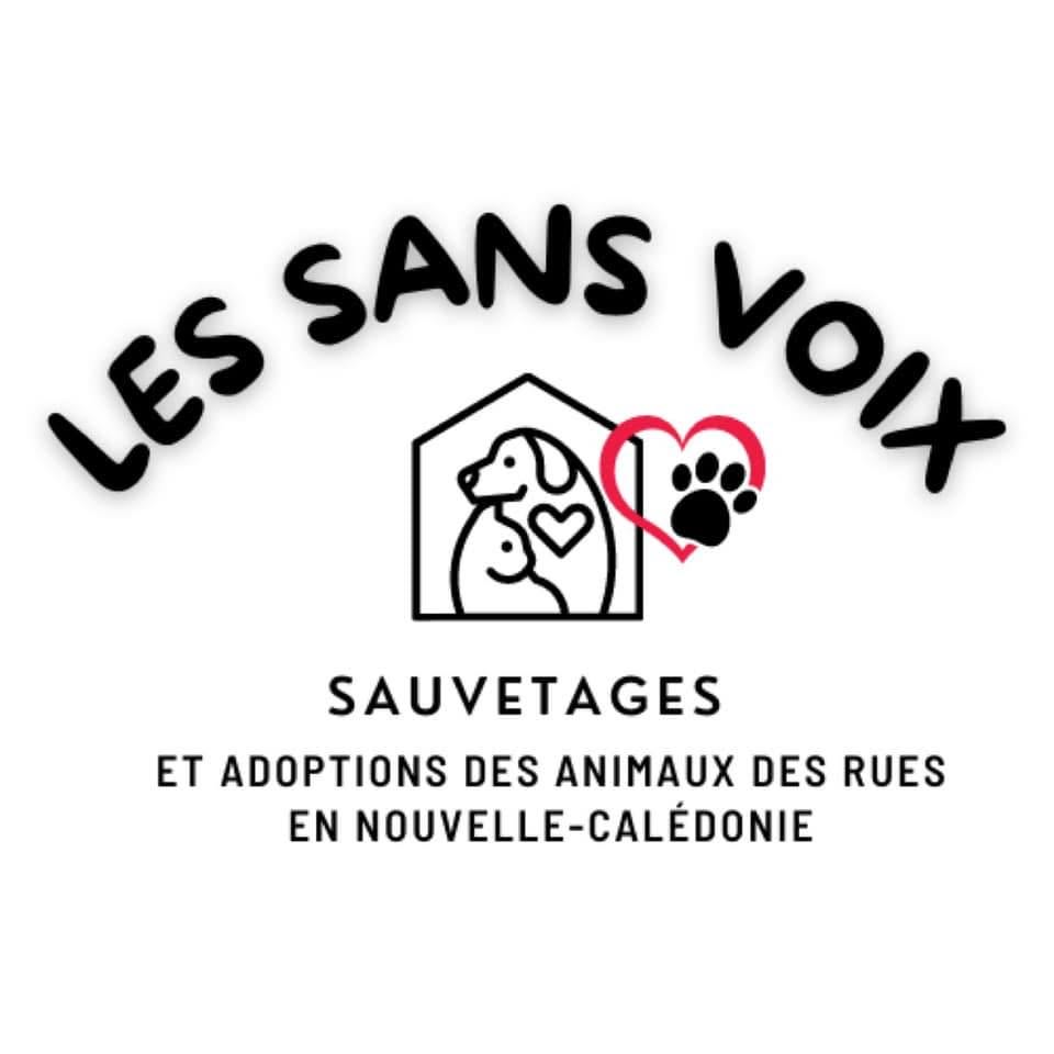 Les Sans Voix