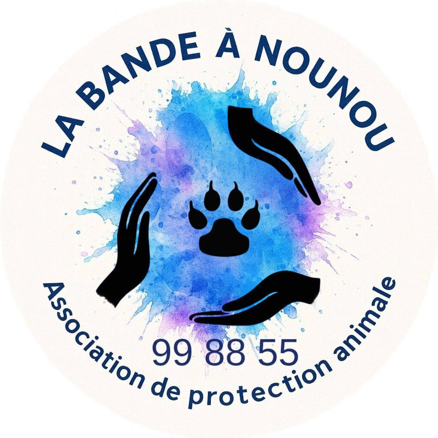 La Bande à Nounou