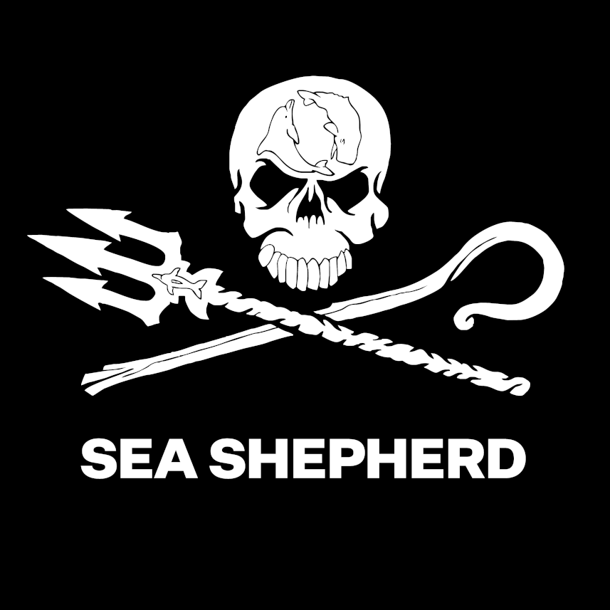 Sea Shepherd NC
