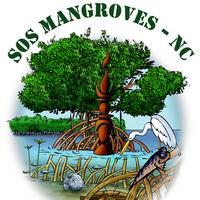 SOS MANGROVES NC