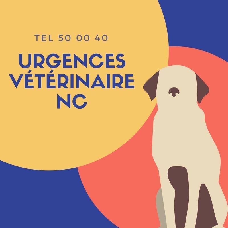 URGENCES VETERINAIRES NC
