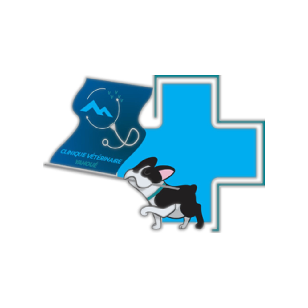 Clinique vétérinaire de Yahoué
